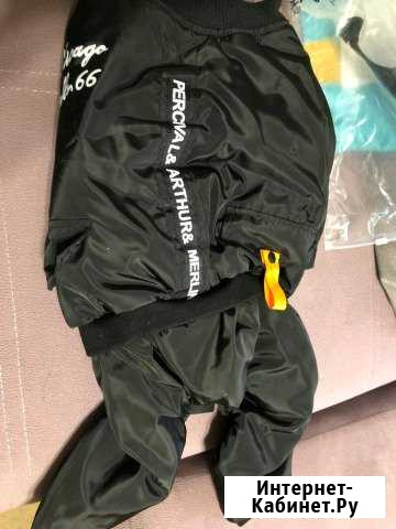 Одежда для собак Новокузнецк - изображение 1