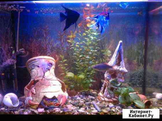 LED светильники для аквариумов Москва