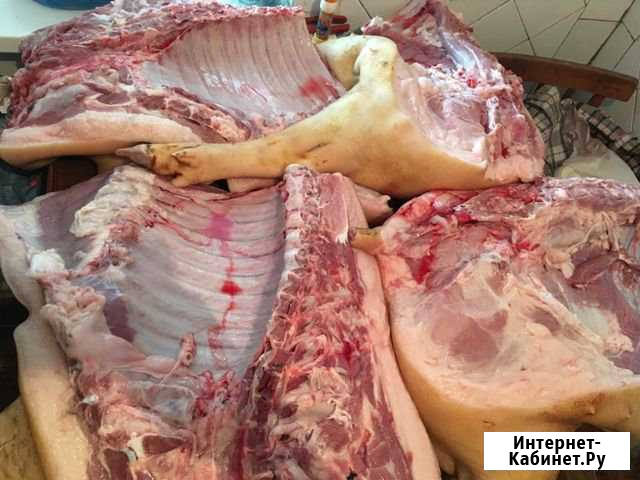 Продаю мясо свинины Волгодонск - изображение 1