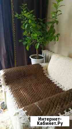 Покрывала сидушки blumarine угловой диван, диван 2 Волгоград