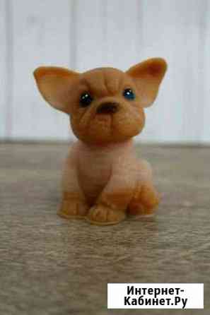 Бульдог Йошкар-Ола