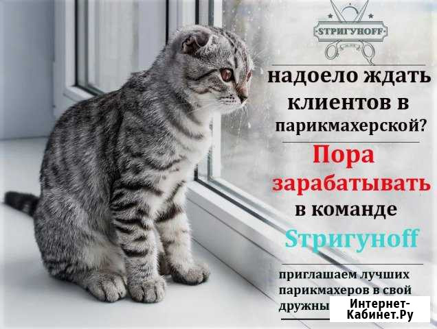 Парикмахер-универсал Белгород - изображение 1