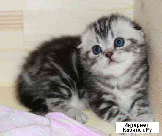 Мальчики и девочки Волжский Волгоградской области