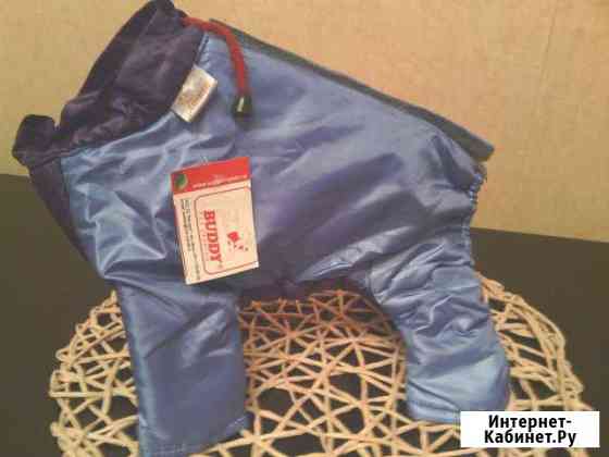 Комбинезончик buddy PET fashion новый Череповец