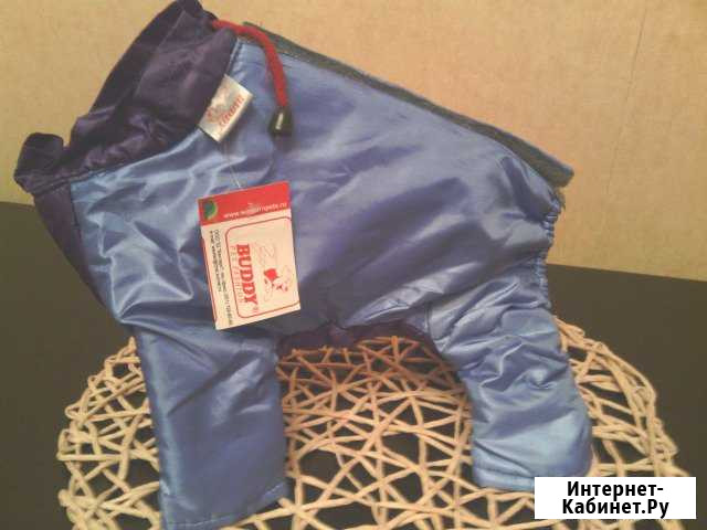Комбинезончик buddy PET fashion новый Череповец - изображение 1