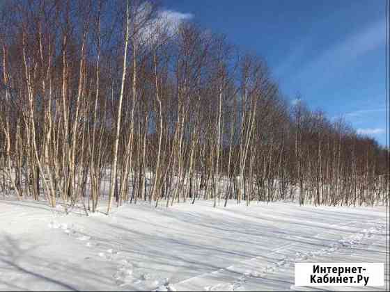 Участок 20 сот. (ИЖС) Петропавловск-Камчатский