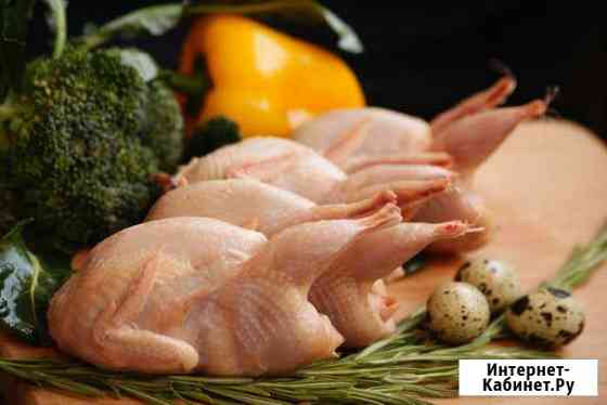 Продаю мясо перепелов (под заказ) Миасс