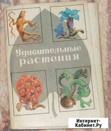 Удивительные растения Усть-Лабинск