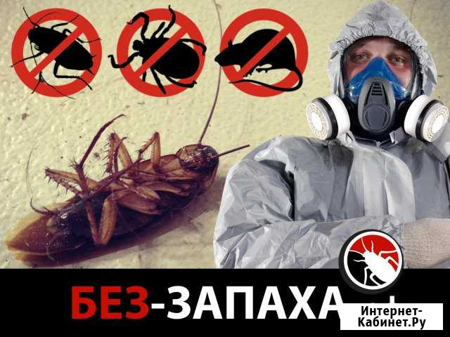 Уничтожение насекомых - тараканы, клопы, клещи Хабаровск - изображение 1