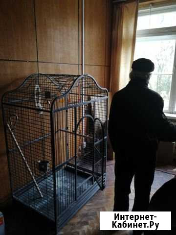 Клетка для больших попугаев Рощино - изображение 1