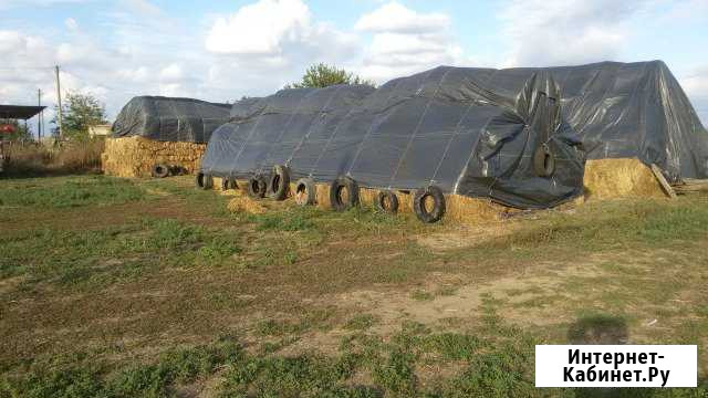 Сено. солома кошу ротаркой в волок. Пресс прямоуго Славянск-на-Кубани - изображение 1