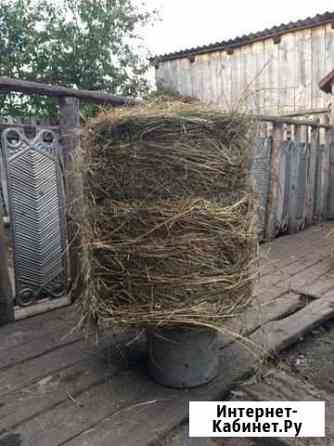 Сено Юрга