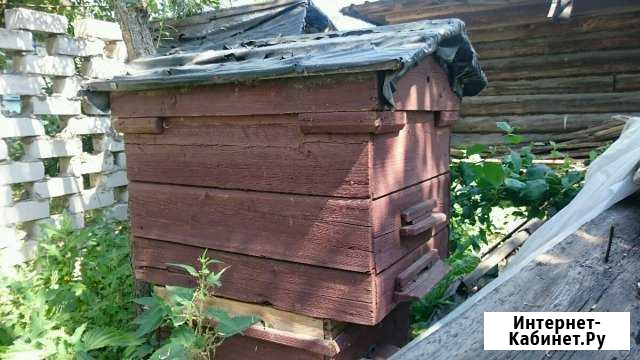Ульи Звенигово - изображение 1