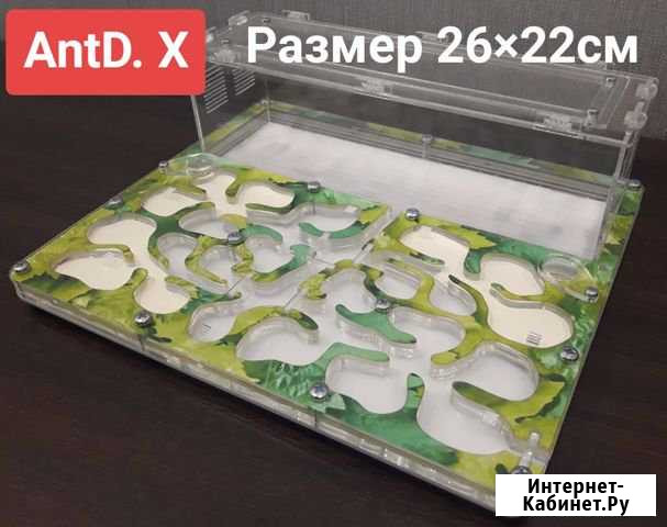 Муравьиная ферма Формикарий Ростов-на-Дону - изображение 1