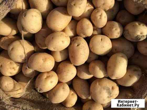Продажа картофеля Химки