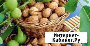 Грецкий орех сбор Шахты - изображение 1