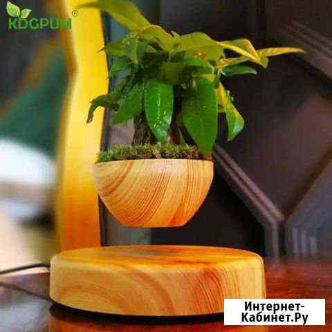 Магнитный левитирующий горшок Подарок Сочи