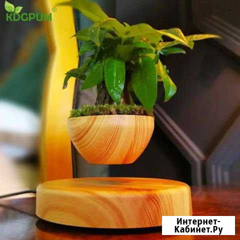 Магнитный левитирующий горшок Подарок Сочи - изображение 1