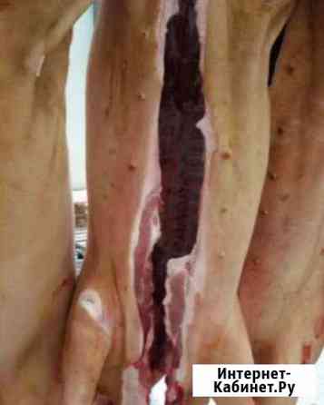 Мясо Свинины В тушах и полутушах Красноярск