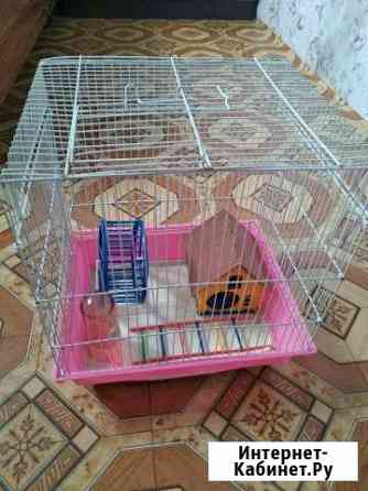 Клетка Астрахань