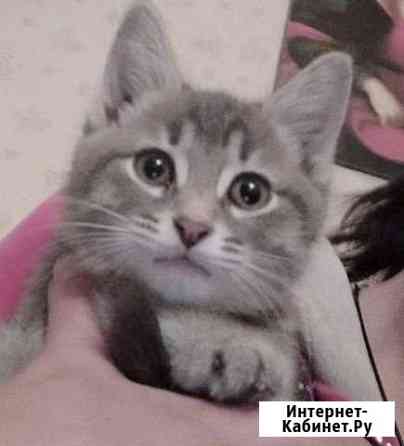 Толстунчик Васенька Нижний Новгород