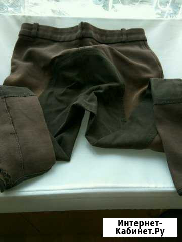 Товары для конного спорта Екатеринбург - изображение 1