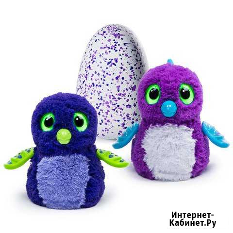Интерактивные игрушки Hatchimals / Новые.Доставка Красноярск - изображение 1