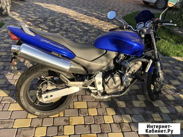 Honda CB 600F (Hornet) Сальск - изображение 1