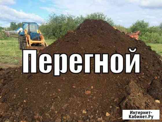 Перегной коровяк Майкоп