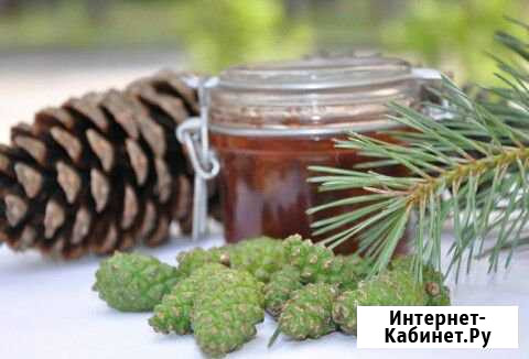 Варенье из сосновых шишек Магнитогорск - изображение 1