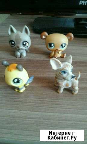 LPS Сергиев Посад - изображение 1