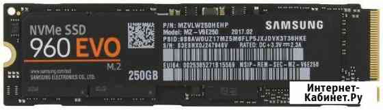 SAMSUNG EVO 960 250GB Дербент