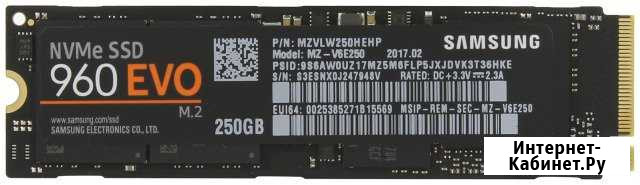 SAMSUNG EVO 960 250GB Дербент - изображение 1