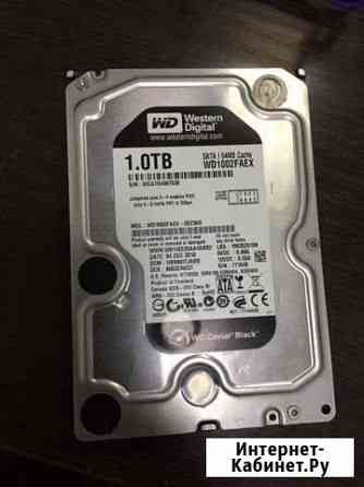 WD Caviar Black 1TB Махачкала