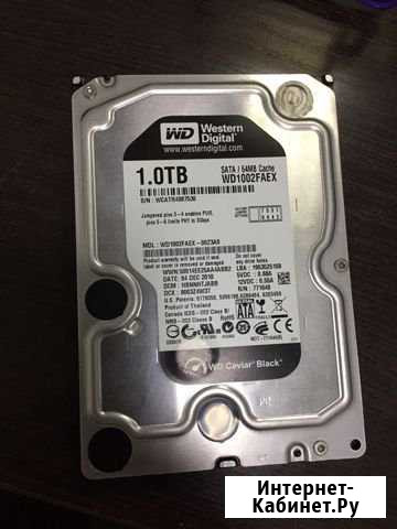 WD Caviar Black 1TB Махачкала - изображение 1