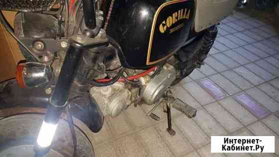 Honda Corrila Геленджик