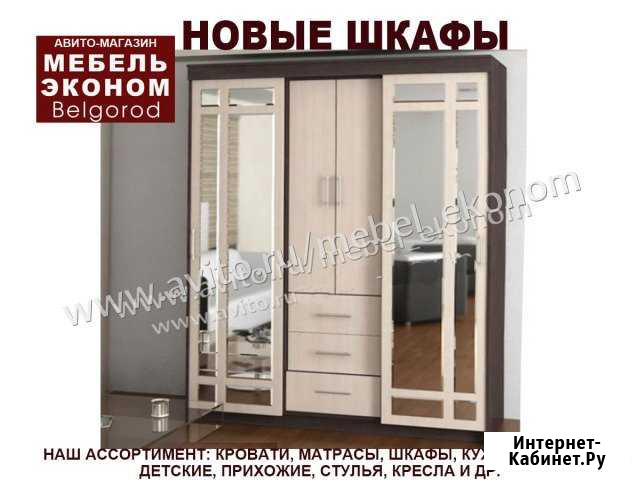 Шкаф-купе Белгород - изображение 1