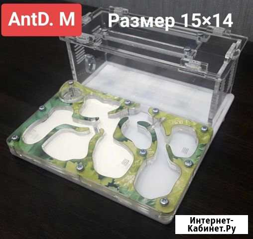 Муравьиная ферма Формикарий с муравьями Ростов-на-Дону - изображение 1