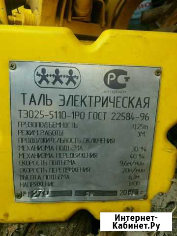 Таль электрическая 250 кг Большие Березники - изображение 1