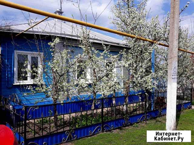 Дом 50 кв.м. на участке 40 сот. Засосна - изображение 1