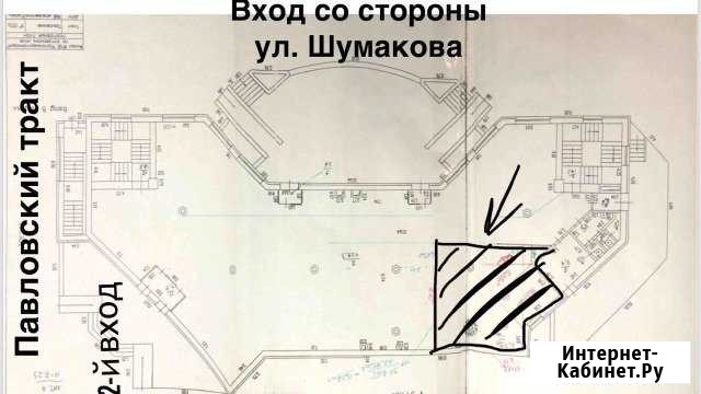 Площадь под офис/магазин/шоурум/салон красоты/мебе Барнаул - изображение 1
