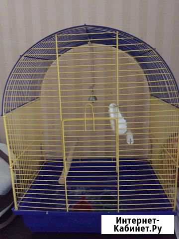 Клетка Новосибирск - изображение 1