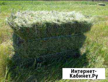 Сено 2019 в тюках с доставкой Архангельск