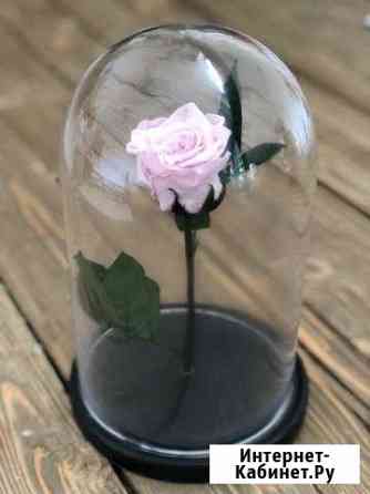 Роза в колбе Набережные Челны