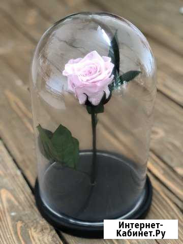 Роза в колбе Набережные Челны - изображение 1