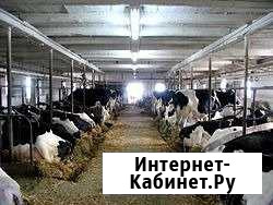 Агробизнес без рисков, инвестиции, доля в бизнесе Архангельск - изображение 1