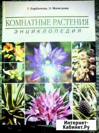 Комнатные растения энциклопедия Кириши