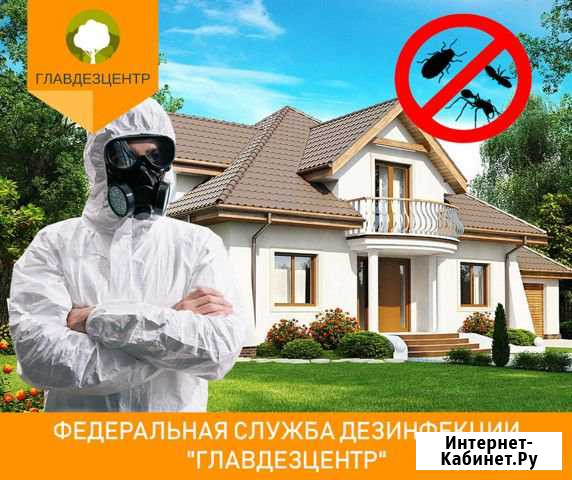 Обработка от клопов тараканов муравьев Барнаул Барнаул - изображение 1