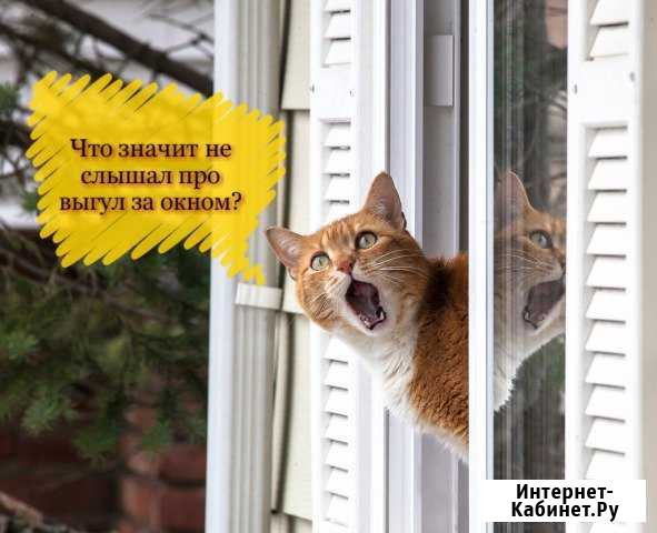 Сетка анти-кошка (выгул за окном) Сочи - изображение 1