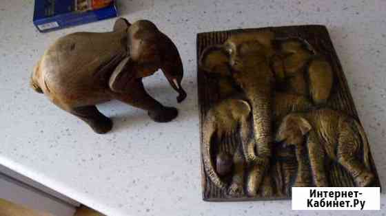 Тайланд слоны Петропавловск-Камчатский